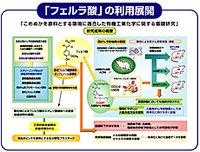 フェルラ酸の利用展開