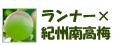 ランナー×紀州南高梅プロジェクト