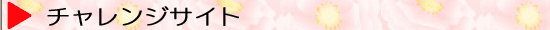 りぃぶる チャレンジサイト