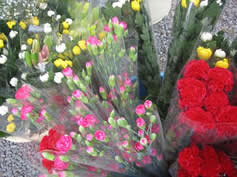 農産物ふれあい販売所の花