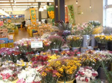 よってって ごぼう店の商品