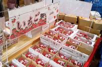 よってって新宮店 直売所コーナー2