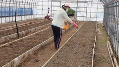 植え付け準備のための元肥の施肥