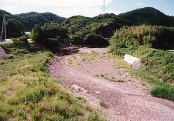 平成6年8月(楠本橋付近)の画像