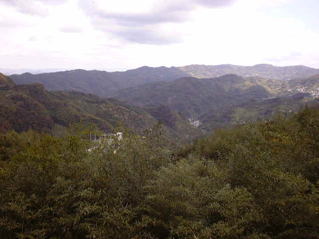 木々の間から見える集落の写真2
