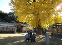 丹生酒殿神社の写真