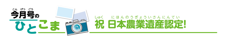 今月号のひとこま　祝 日本農業遺産認定！