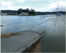 農業用水路から水があふれた様子