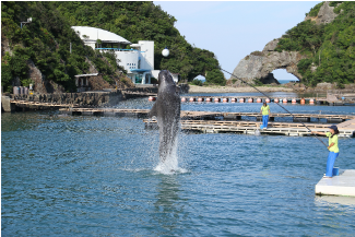 ショーの写真