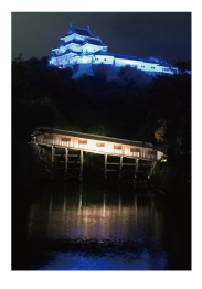 和歌山城ブルーライトアップの写真