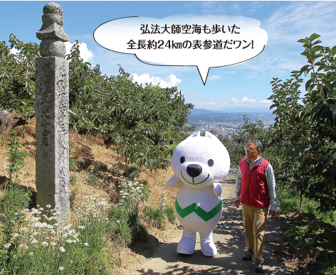 高野山町石道を歩くきいちゃんの写真　弘法大師空海も歩いた全長約24キロメートルの表参道だワン！