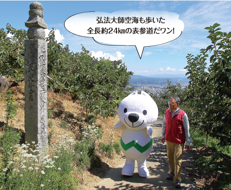 高野山町石道を歩くきいちゃんの写真 弘法大師空海も歩いた全長約24キロメートルの表参道だワン!