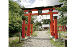 丹生官省符神社の写真