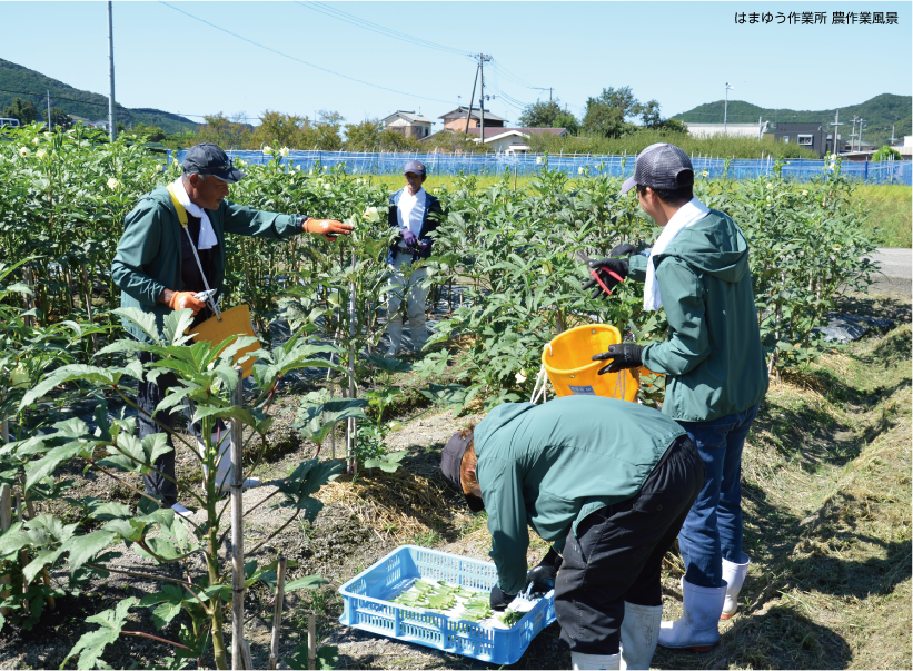 はまゆう作業所　農作業風景の写真