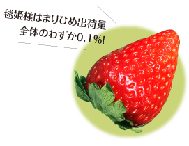 まりひめ様の写真 まりひめ様はまりひめ出荷量全体のわずか0.1パーセント