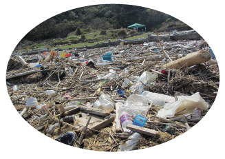 海洋プラスチックごみの写真