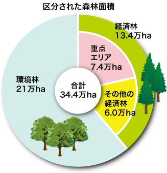 区分された森林面積の円グラフ