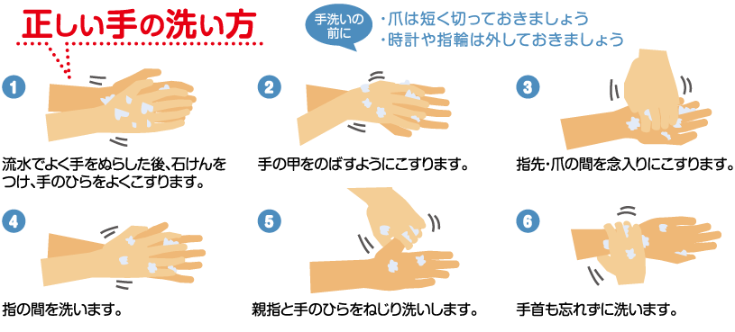 正しい手の洗い方　手洗いの前に　爪は短く切っておきましょう　時計や指輪は外しておきましょう　1　流水でよく手をぬらした後、石けんをつけ、手のひらをよくこすります。　2　手の甲をのばすようにこすります。　3　指先・爪の間を念入りにこすります。　4　指の間を洗います。　5　親指と手のひらをねじり洗いします。　6　手首も忘れずに洗います。