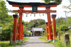 丹生官省符神社の写真