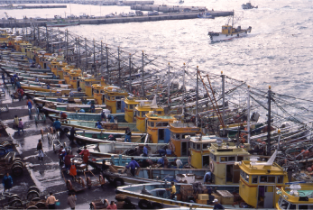 箕島漁港の写真