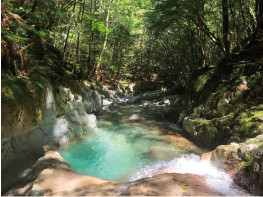 古座川源流域