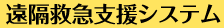 遠隔救急支援システム