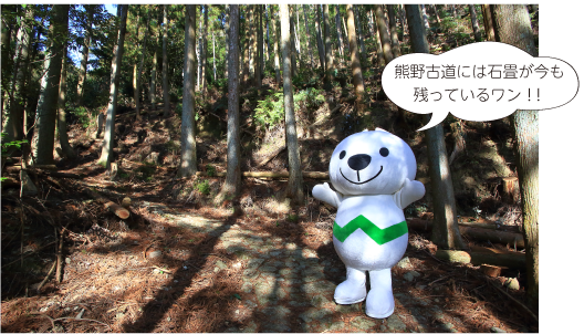 鹿ヶ瀬峠ときいちゃんの写真　熊野古道には石畳が今も残っているワン