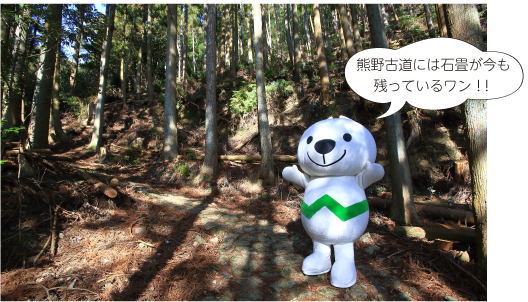 鹿ヶ瀬峠ときいちゃんの写真 熊野古道には石畳が今も残っているワン