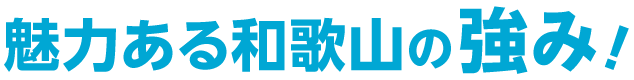 魅力ある和歌山の強み