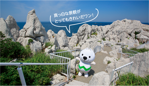 きいちゃんが白崎海洋公園を散歩している画像　真っ白な景観がとってもきれいだワン
