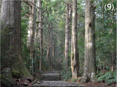 大門坂の画像