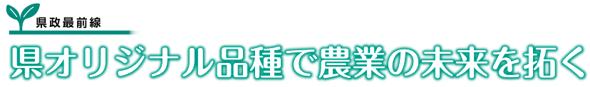 県政最前線 県オリジナル品種で農業の未来を拓く