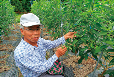 上田 誠治 さんの画像