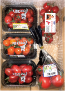 トマト5種類セットの写真