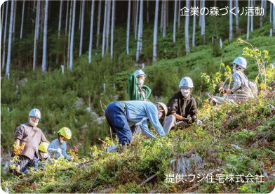 企業の森づくり活動の様子