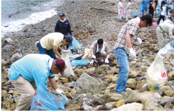 県民による海岸の清掃活動の様子画像