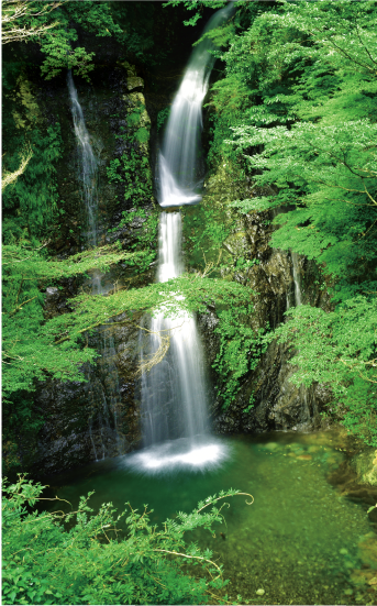 大塔山県立自然公園の「修験の滝」の画像
