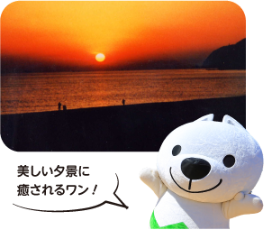 煙樹ヶ浜の夕陽 美しい夕景に癒されるワン