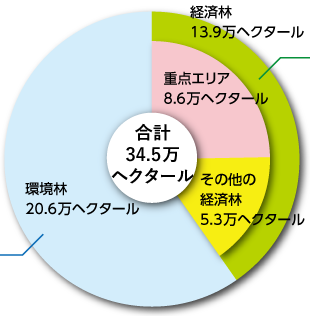 区分された森林面積のグラフ