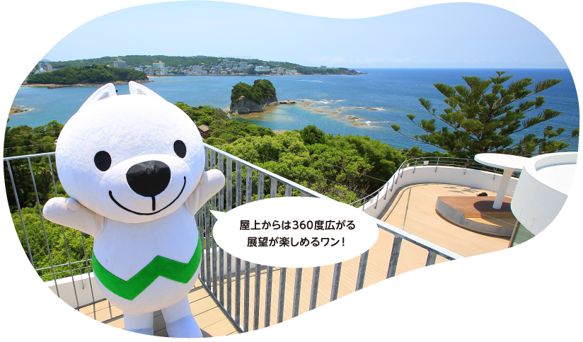 南方熊楠記念館屋上からの眺望ときいちゃんの写真 屋上からは360度広がる展望が楽しめるワン