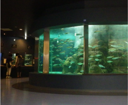 京都大学白浜水族館の写真