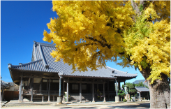 本願寺日高別院の写真