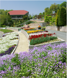 植物公園緑花センターの画像