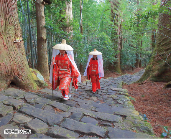 熊野古道 大門坂の写真