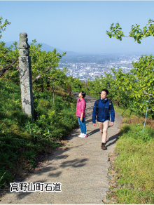 高野山町石道の写真