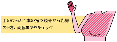 手のひらと４本の指で鎖骨から乳房の下方、両脇までをチェック