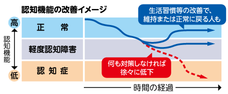 認知機能の改善イメージ