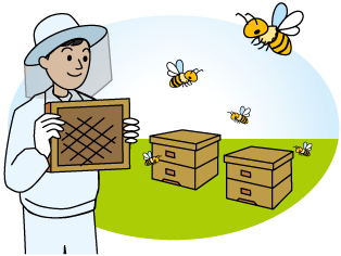 蜜蜂を飼育している様子のイラスト
