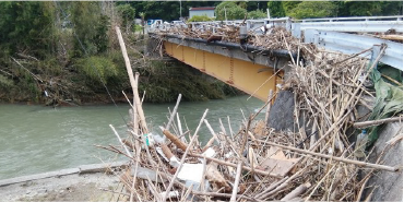 蓑原橋 周辺の写真