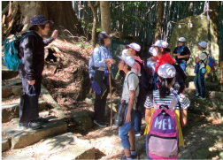 子供達と熊野古道を歩くようすの写真